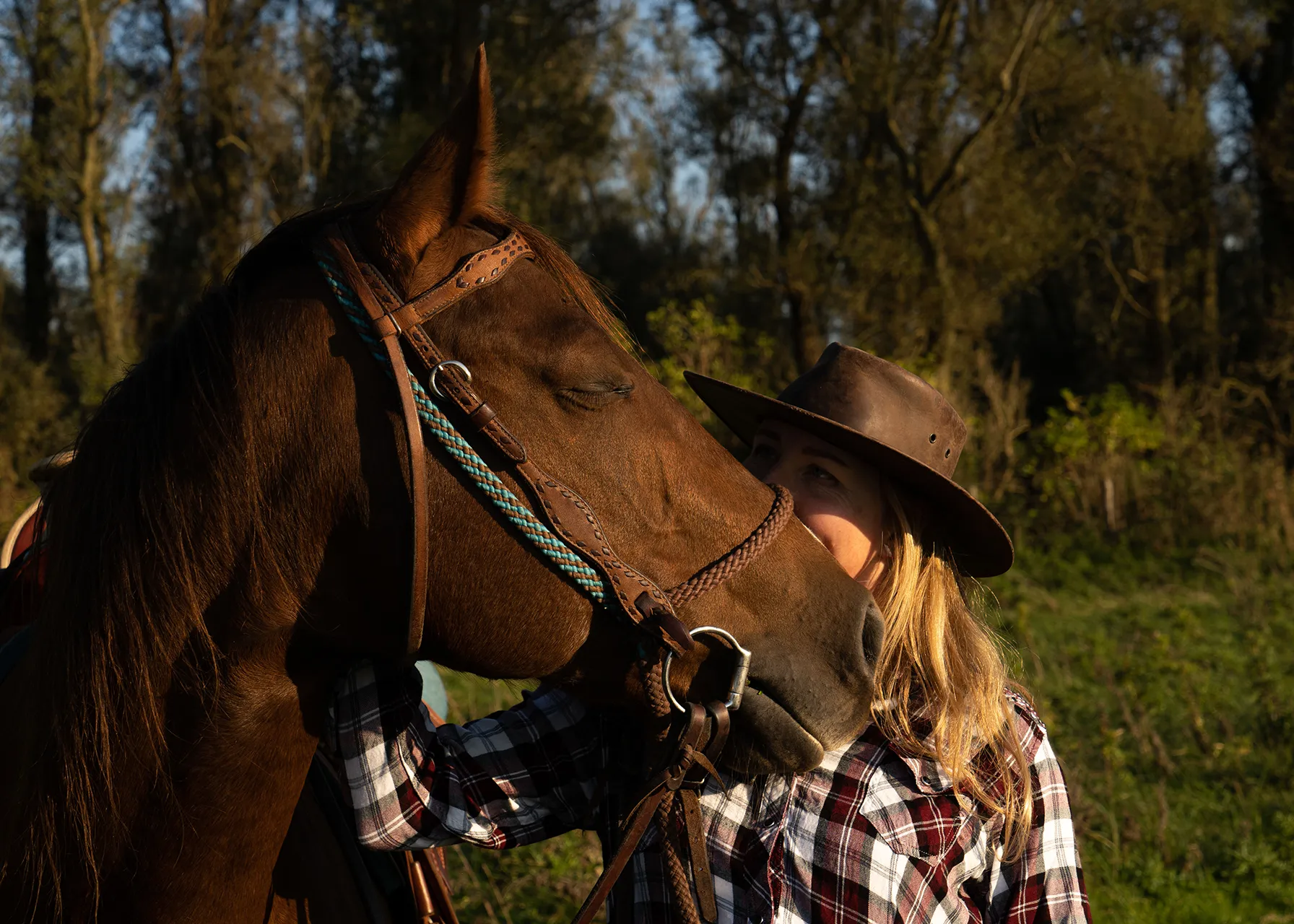 Een vrouw in een flanellen shirt en een hoed omhelst een bruin paard in een groene omgeving.