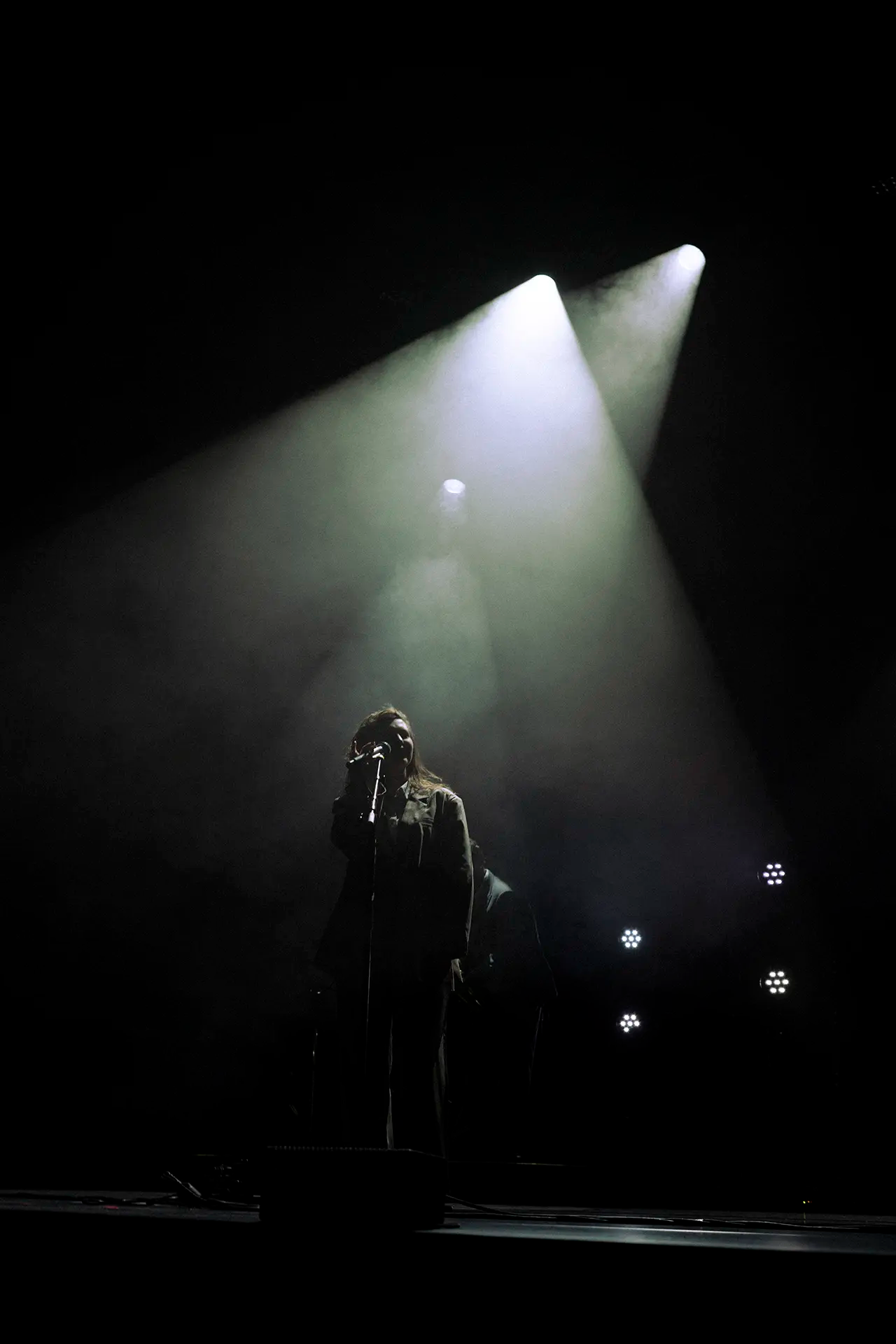 Een silhouet van een zangeres die in een spotlight staat, omringd door rook en zacht verlichting.